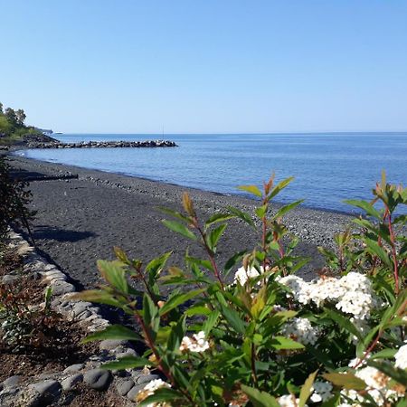Pasa Tatil Koeyue Akcaabat Εξωτερικό φωτογραφία